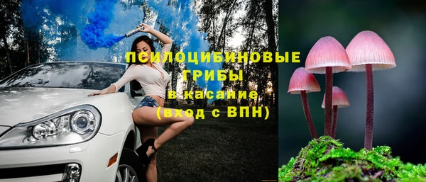 spice Балабаново