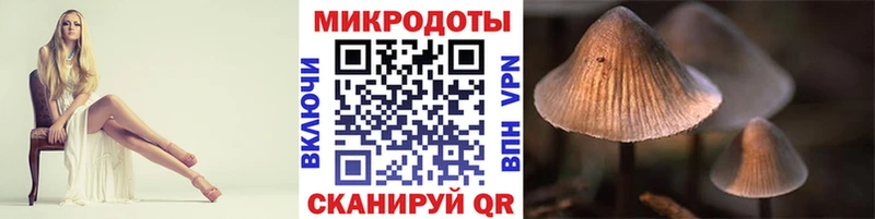 Псилоцибиновые грибы Psilocybe кракен вход Бобров